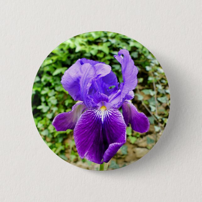 Badge Iris Learé (Devant)