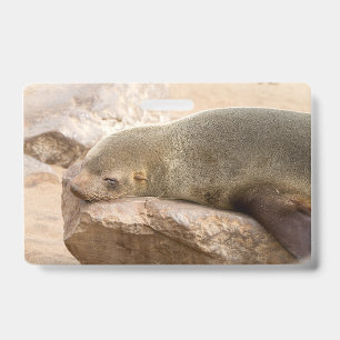Badge jeune lion de mer