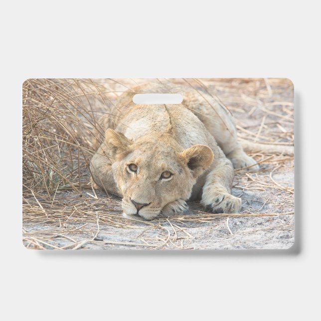 Badge Jeunes lions (Avant)