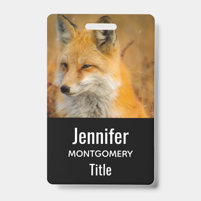 Badge Jote Red Fox Wilderness Nature Photographie (Avant)