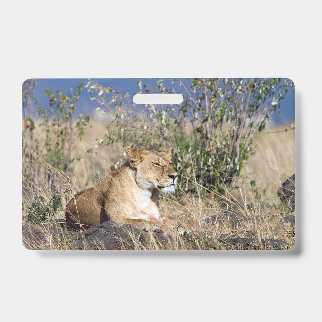 Badge Lionne au repos (Avant)