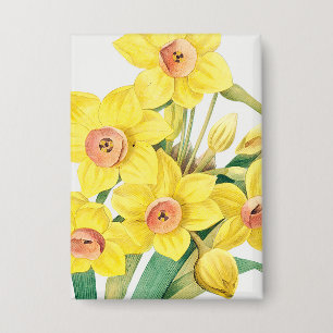 Badge Lis sacré chinois, Pierre-Joseph Redouté, 