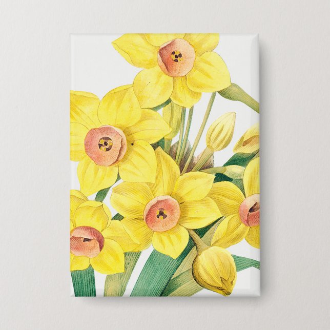 Badge Lis sacré chinois, Pierre-Joseph Redouté,  (Recto)