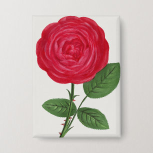 Badge Lithographie de rose antique, François-Frédéric Gr