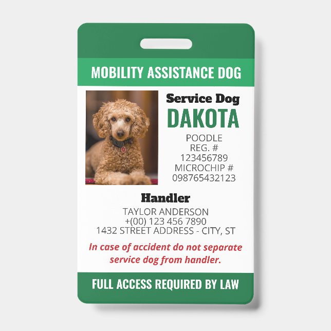 Badge Logo du chien d'assistance à la mobilité verte QR  (Avant)