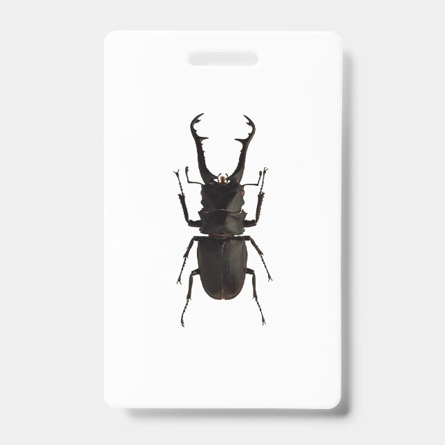 Badge Lucane cerf-volant (Avant)