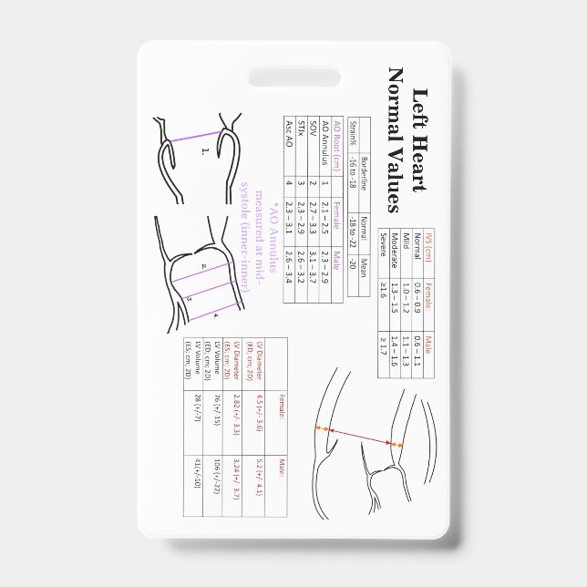 Badge LV / Valeurs de soupape (Avant)