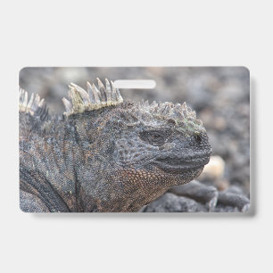 Badge Marine Iguana