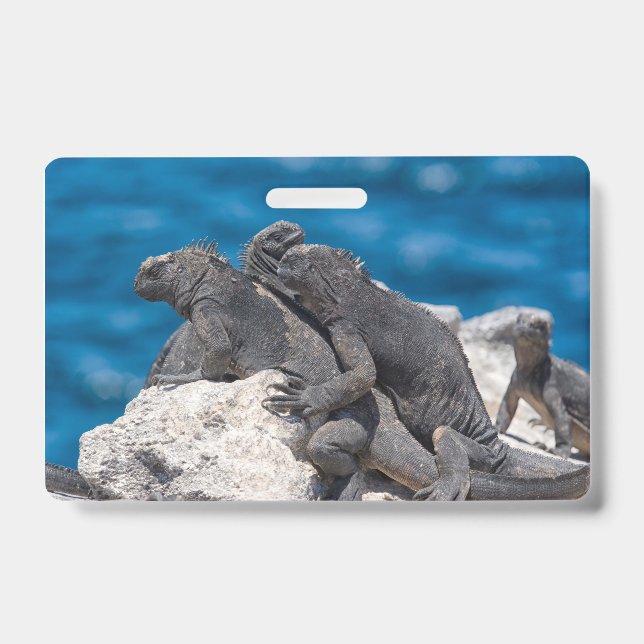Badge Marine Iguana (Avant)