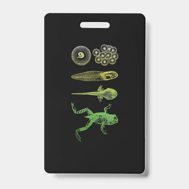 Badge Métamorphose du têtard de grenouille Cycle de vie  (Avant)