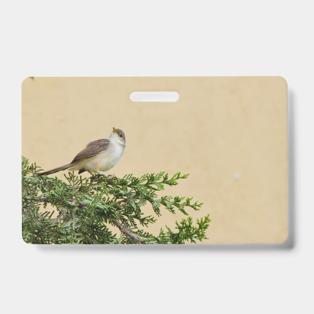 Badge Moineau  (Avant)