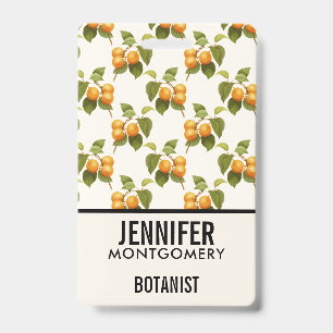 Badge Motif d'aquarelle vintage Orange Apricots
