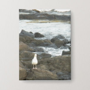 Badge Mouette sur rochers