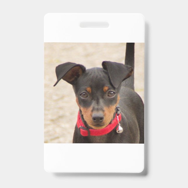 Badge noir et rouille miniature (Avant)