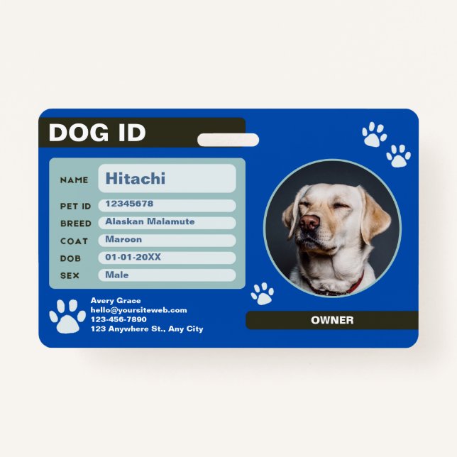 Badge Numéro d'identification de chien personnalisable m (Devant)