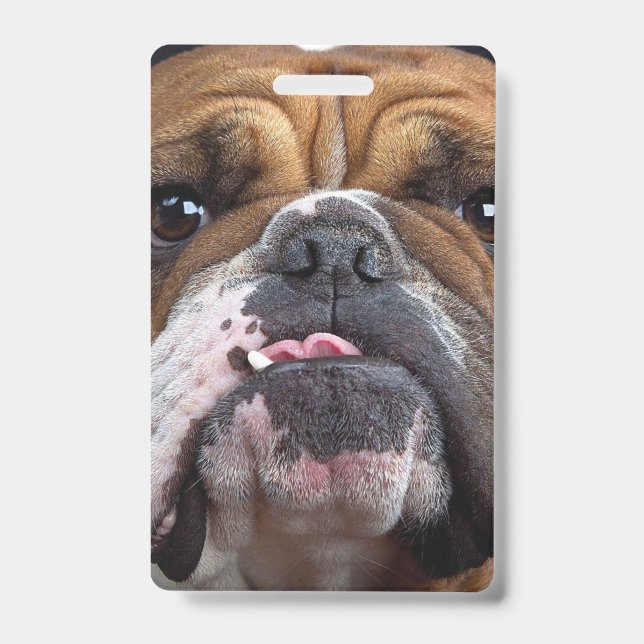 Badge Oreillers à lancer de Bulldog anglais (Avant)