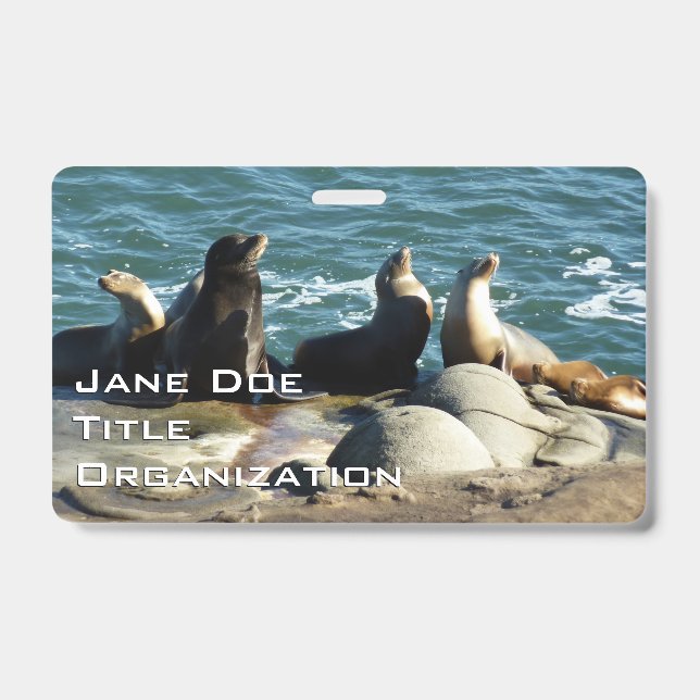 Badge Otaries de San Diego (Avant)