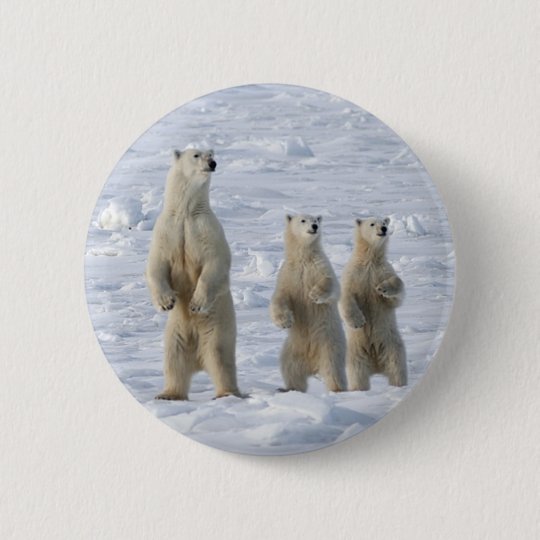Badge Ours polaire