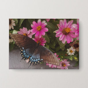 Badge papillon bleu
