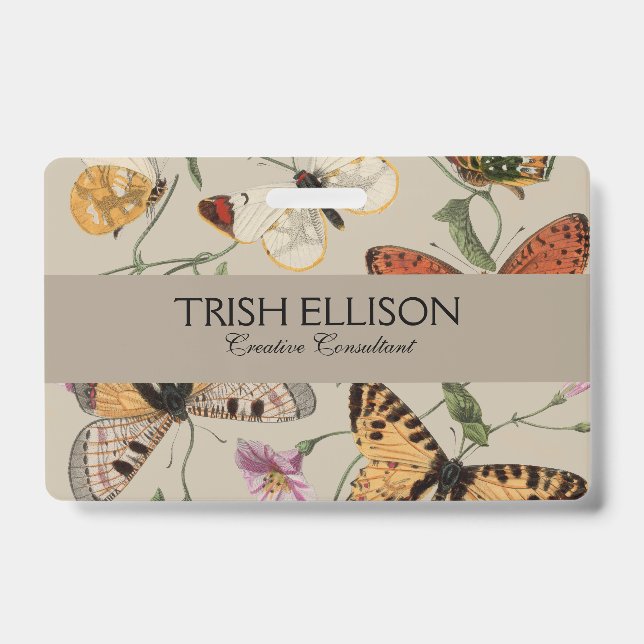 Badge Papillon Moth Nature Collection Dessin (Avant)