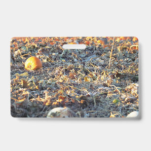 Badge Patch de citrouilles givré
