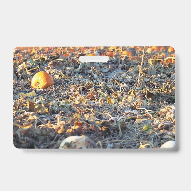Badge Patch de citrouilles givré (Avant)