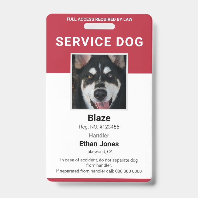 Badge Photo de chien d'assistance Rouge (Avant)
