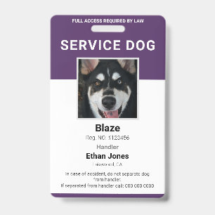 Badge Photo de chien d'assistance Violet