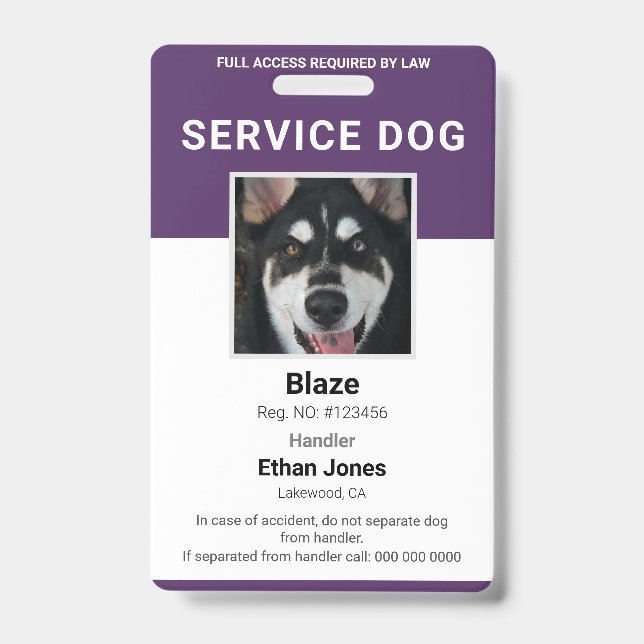 Badge Photo de chien d'assistance Violet (Avant)
