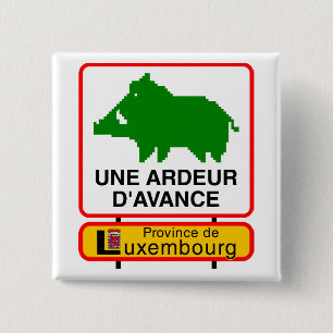 Badge - Province de Luxembourg UNE ARDEUR D'AVANCE