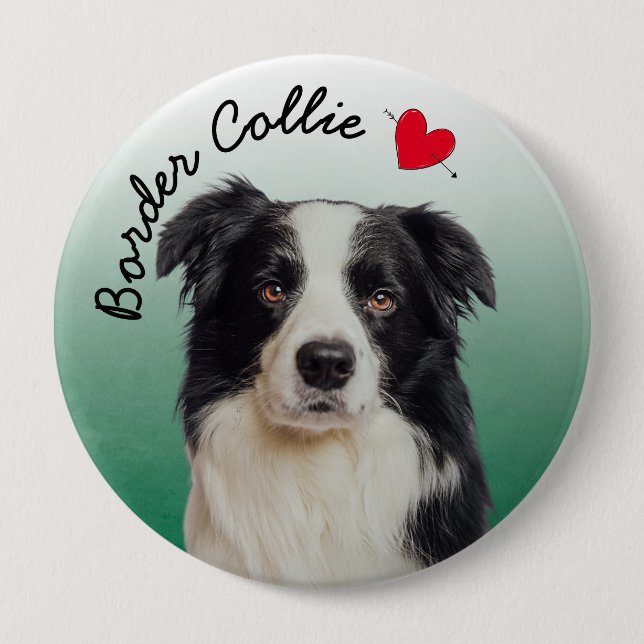 Badge Rond 10 Cm Bordure Collie avec arrière - plan dégradé vert (Devant)