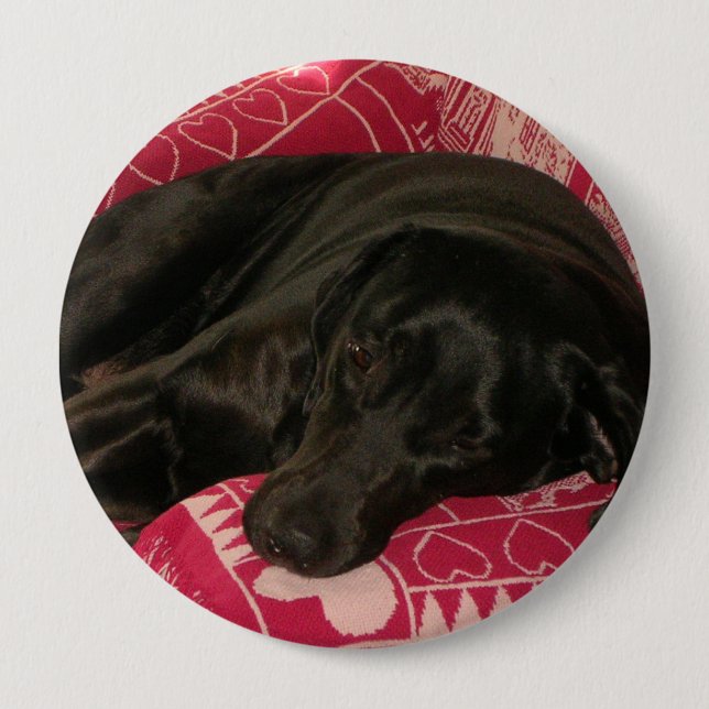 Badge Rond 10 Cm Bouton chien endormi (Devant)