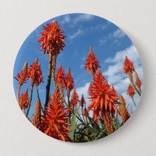 Badge Rond 10 Cm Bouton d'Arborescens d'aloès
