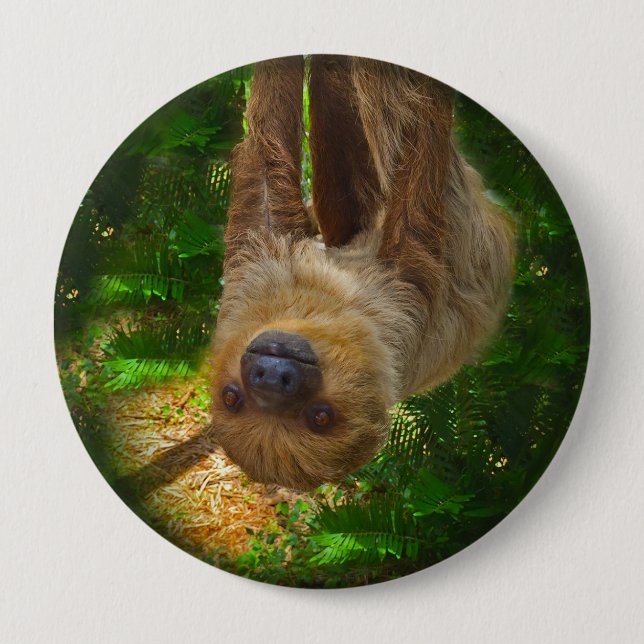 Badge Rond 10 Cm Bouton de la forêt pluviale de Sloth (Devant)