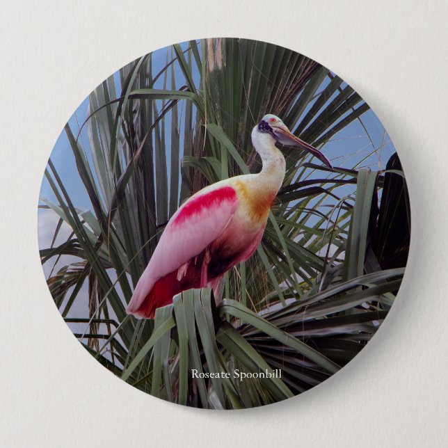Badge Rond 10 Cm Bouton Roseate Spoonbill (Devant)