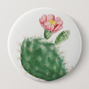 Badge Rond 10 Cm Cactus Cochenillifer, Illustration Antique, 1799 