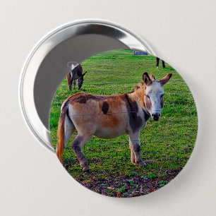 Badge Rond 10 Cm Calico Donkey