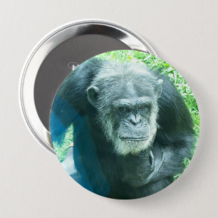 Badge Rond 10 Cm Chimpanzé