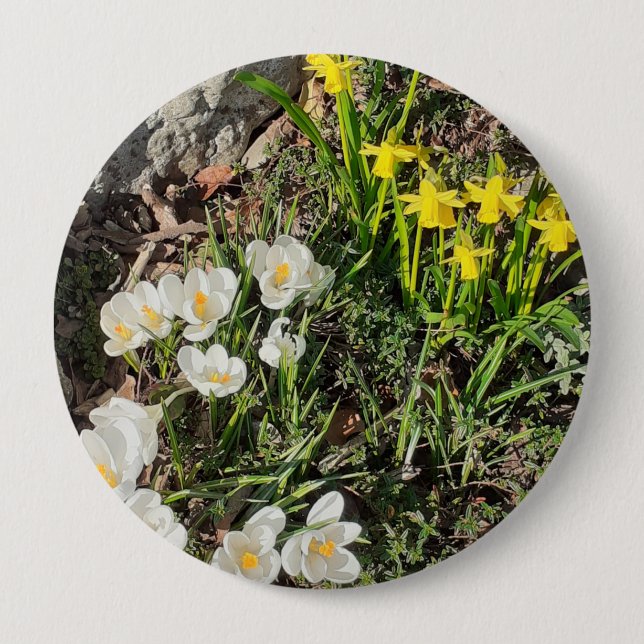 Badge Rond 10 Cm Daffodiles et insigne de crocus (Devant)