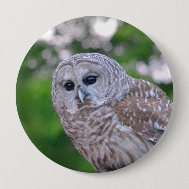 Badge Rond 10 Cm Esprit Du Chou (Devant)