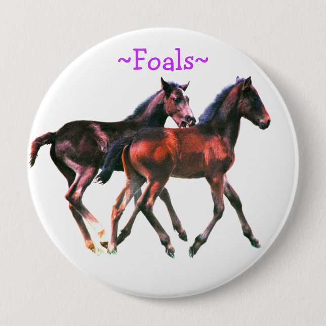 Badge Rond 10 Cm Foals Playing Pin Button (Devant)