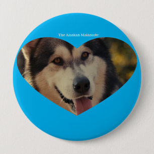 Badge Rond 10 Cm Insigne