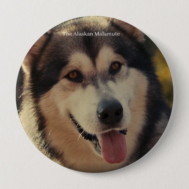 Badge Rond 10 Cm Insigne (Devant)