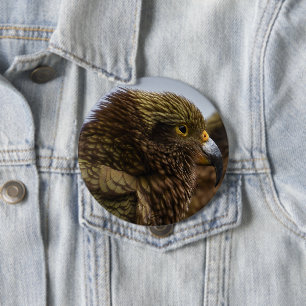 Badge Rond 10 Cm Kea (Nestor notabilis)