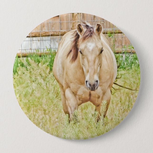 Badge Rond 10 Cm Lazy Morning (Devant)