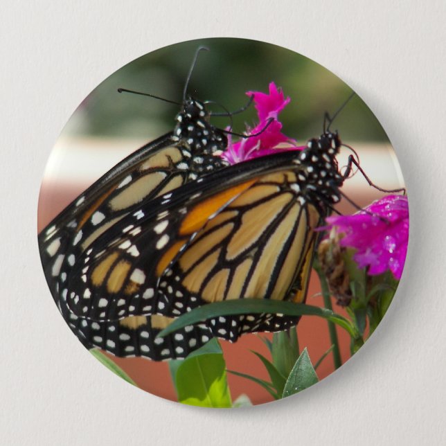 Badge Rond 10 Cm Le monarque jumelle #1-Button (Devant)
