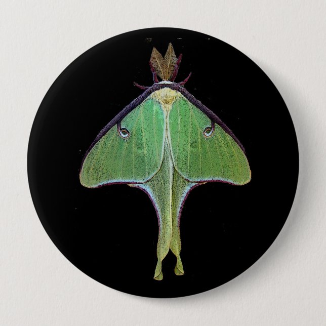 Badge Rond 10 Cm Luna Moth (Devant)