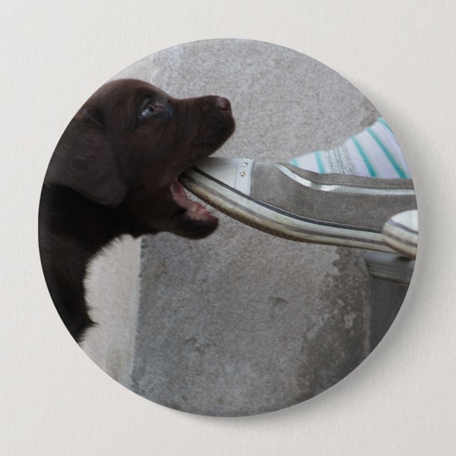 Badge Rond 10 Cm Mange Ma Chaussure ! Labrador Puppy (Devant)