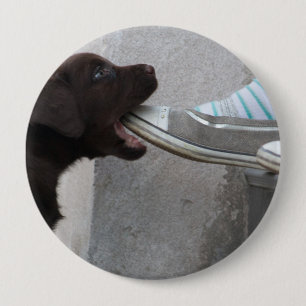 Badge Rond 10 Cm Mange Ma Chaussure ! Labrador Puppy
