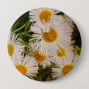 Badge Rond 10 Cm Marguerites